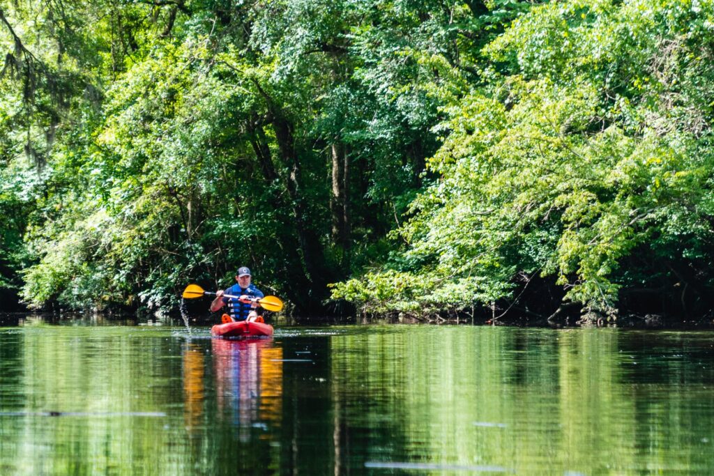 Eco-Tourism in Summerville 