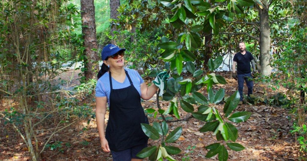 Summerville Green Day