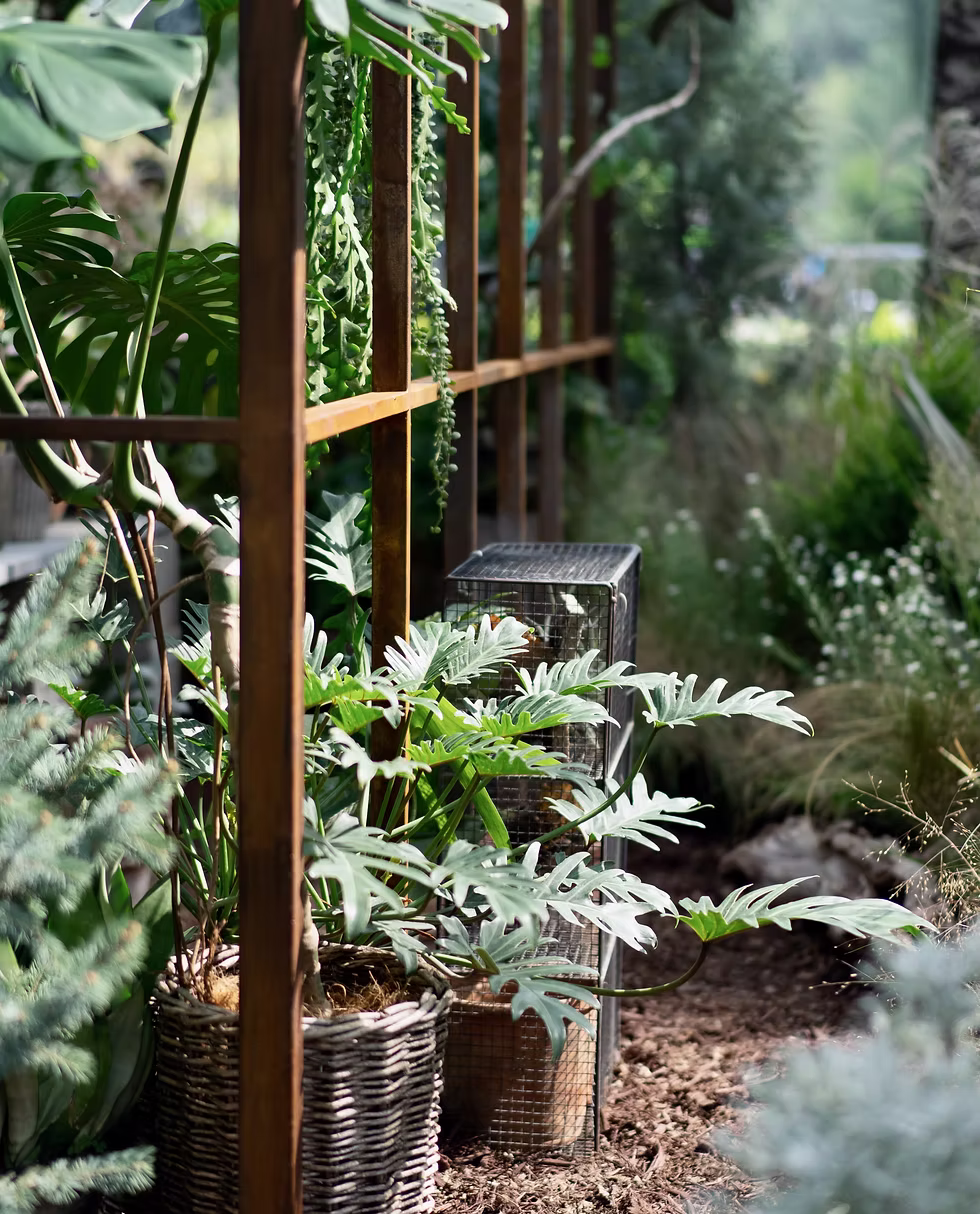 11062b_984366abaa6c441fba2812a4793906camv2