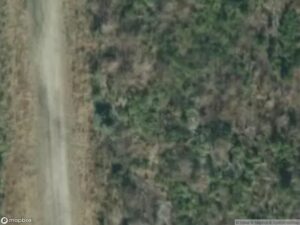 Aerial view of a dirt path surrounded by dense vegetation and sparse trees.
