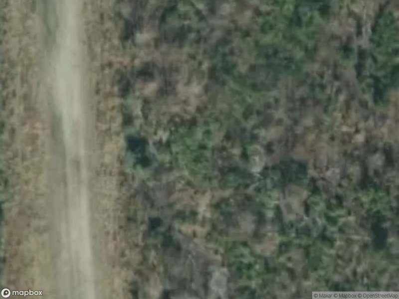 Aerial view of a dirt path surrounded by dense vegetation and sparse trees.