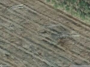 Aerial view of a cleared land area with fallen tree debris and soil patterns.