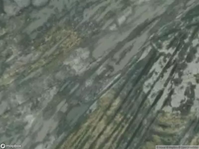 Satellite image showing textured land with varying shades of green, gray, and brown.
