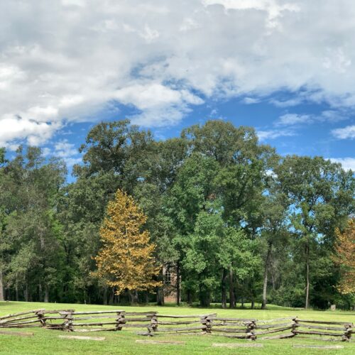 Colorful tree leaves signal early fall, with an old wooden fence in the foreground and a blue sky above.