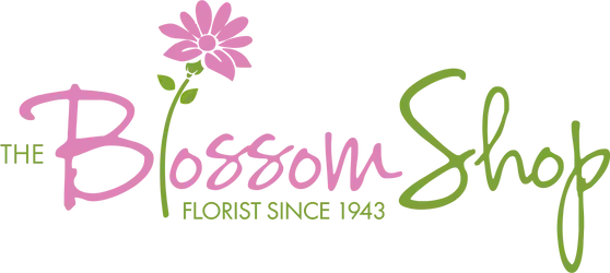 Logo for "The Blossom Shop" featuring a pink flower and green text.