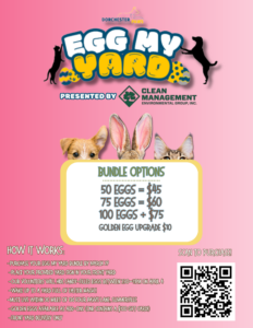 Promotional flyer for "Egg My Yard" event with bundle options and instructions for participation.