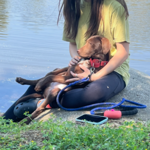 A person in a yellow shirt sits by a lake, holding a brown dog with a red collar. A phone and dog leash are nearby.