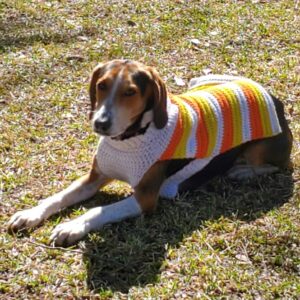 A dog lies on grass, wearing a colorful striped sweater with orange, yellow, and white stripes.
