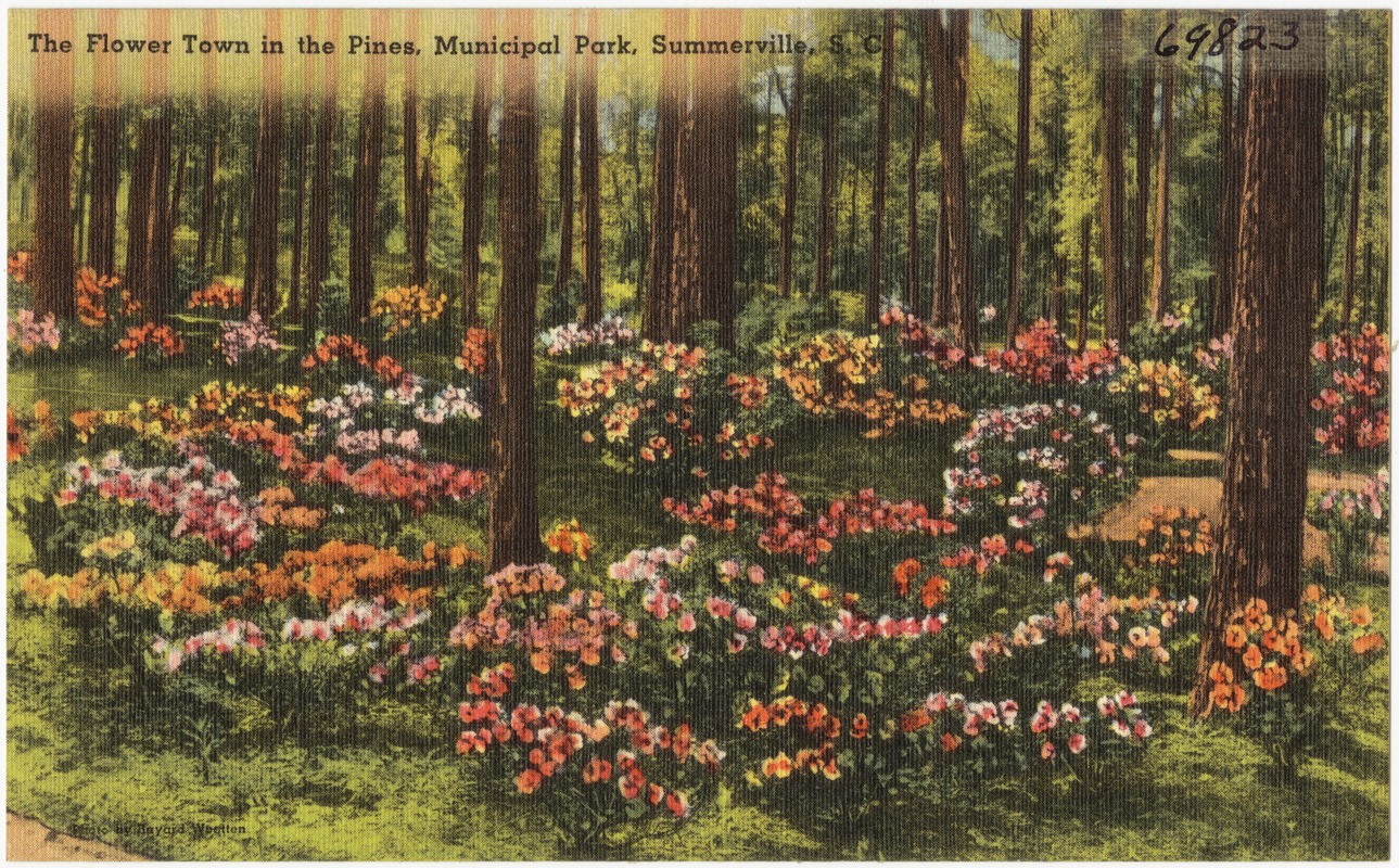 Colorful flower beds bloom among tall trees in a park setting.