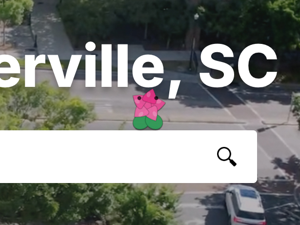 Meet Zazzy, Summerville’s new virtual mascot