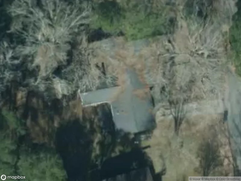 Aerial view of a house surrounded by trees and overgrown vegetation.