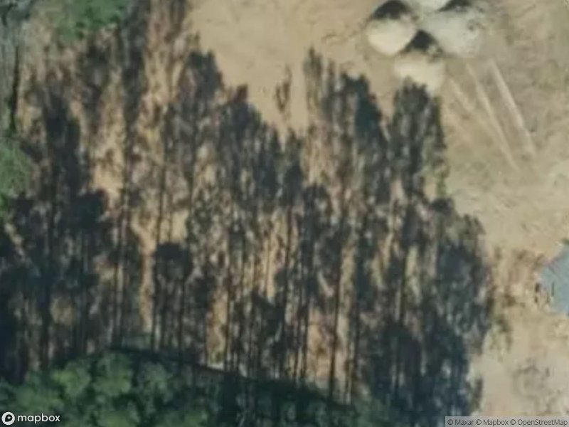 Aerial view of trees casting shadows on bare ground, with some circular structures visible.