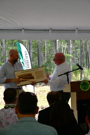 1,643 acres in Dorchester preserved as state forest