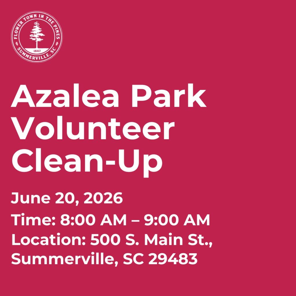 Azalea Park Volunteer Clean-Up