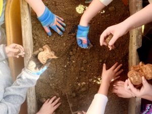 Children's hands dig in soil, some holding objects, exploring a wooden box filled with dirt.