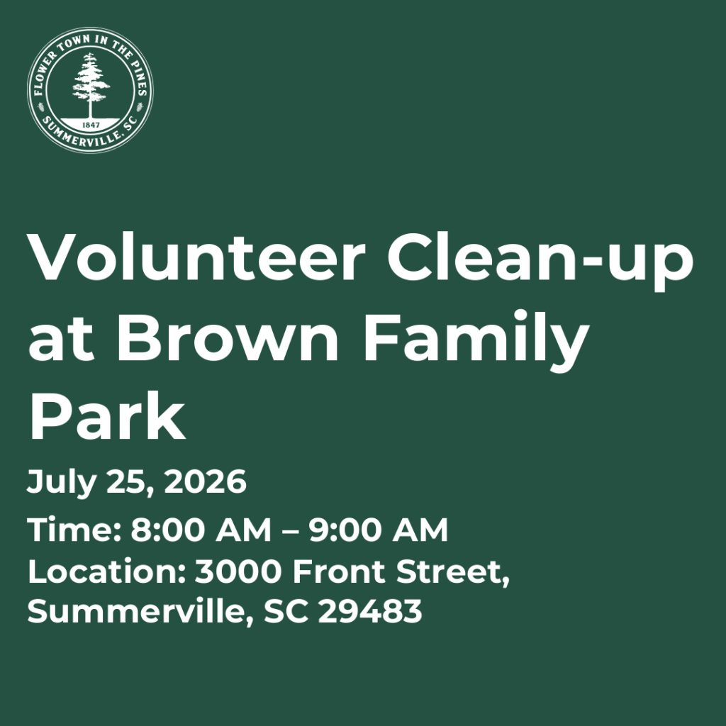 Volunteer Clean-up at Brown Family Park