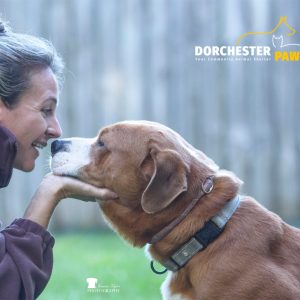 A woman smiles and gently touches a dog's face, sharing a moment of connection outdoors.
