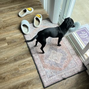 A small black dog stands on a rug near a window, sniffing a slipper. Three slippers are scattered nearby.