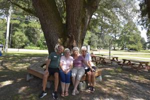 Five people sit on a bench under a large tree, smiling and enjoying a sunny day in a park.