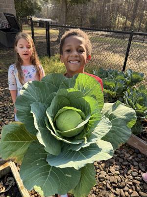Katie’s Krops reaches milestone in fight against hunger